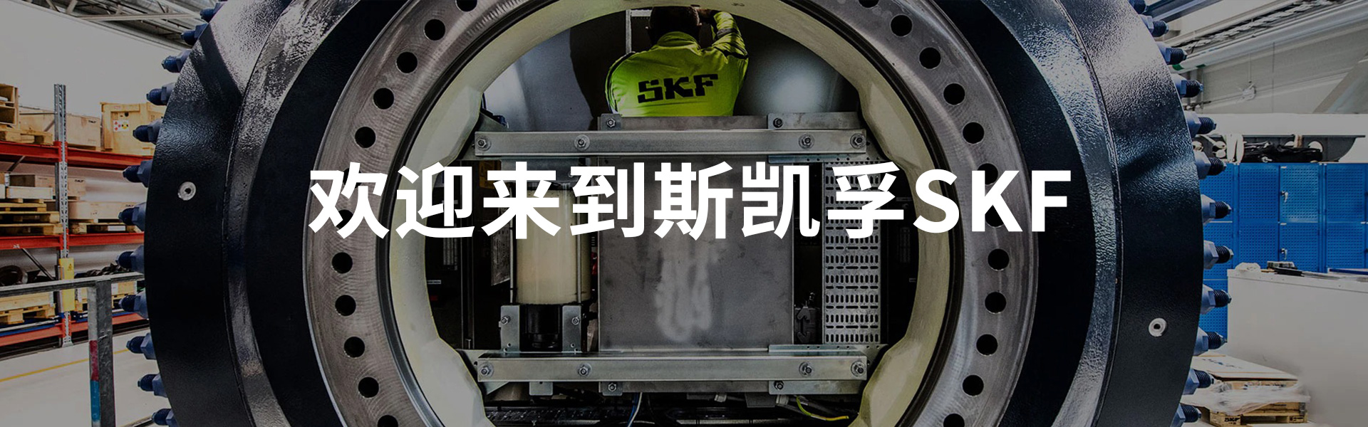 开云(中国)